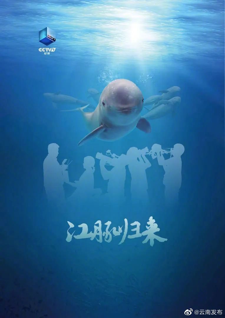 “云南发布”微博