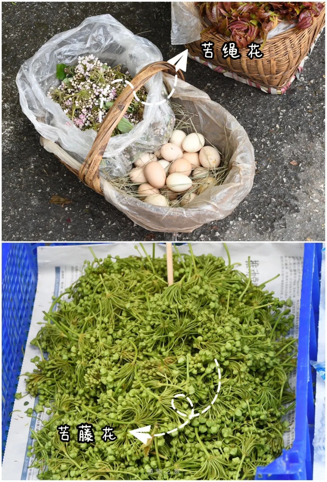 云南省文化和旅游厅