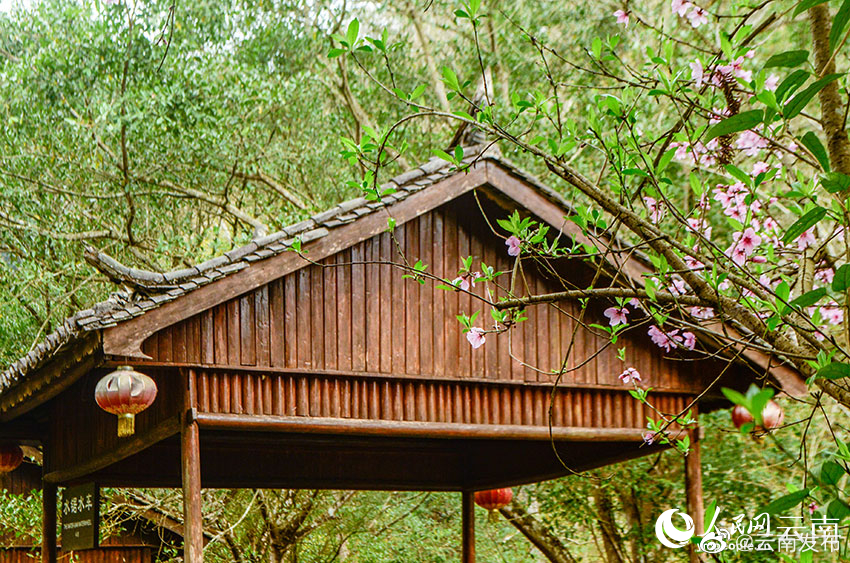 “云南发布”微博