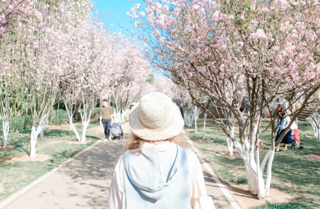 一部手机游云南