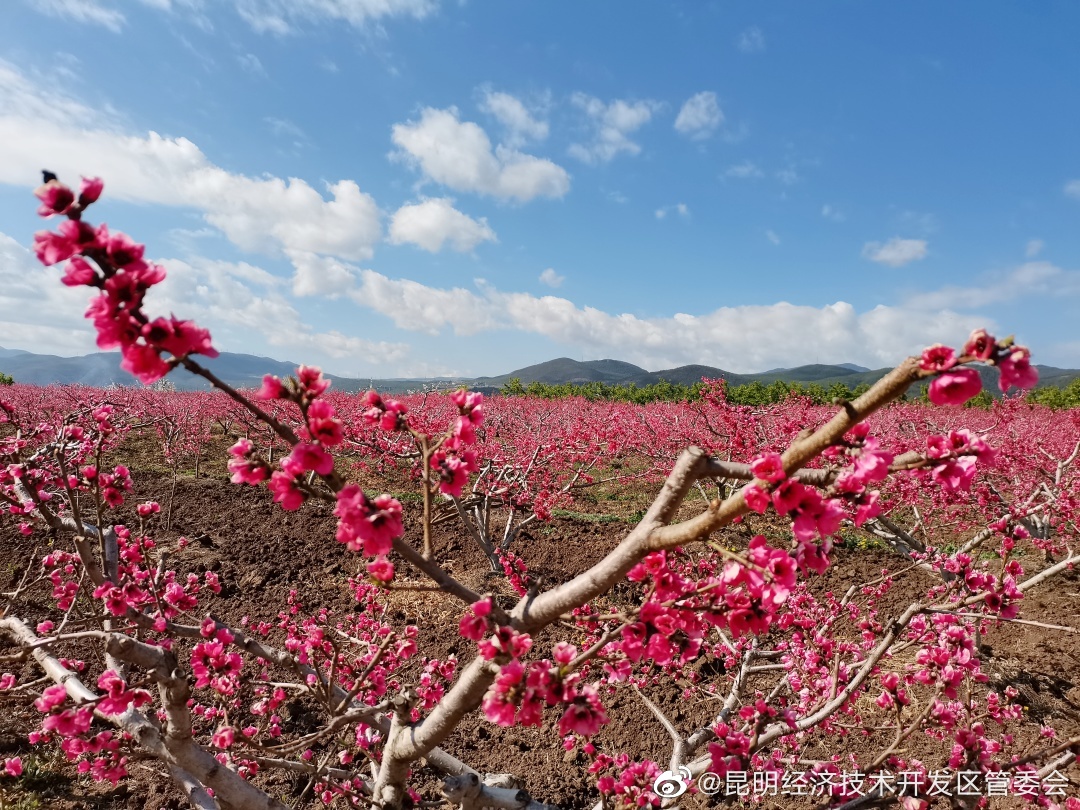 昆明经济技术开发区管委会