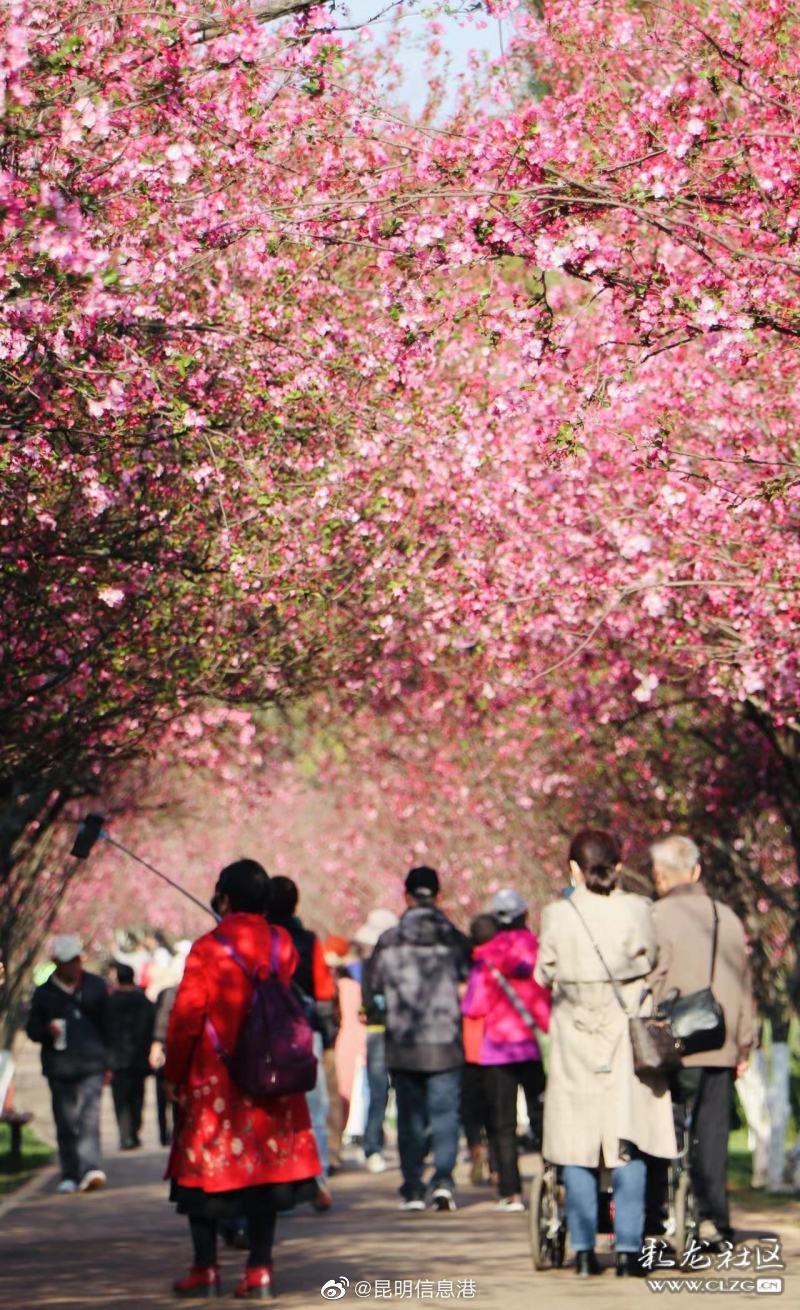昆明信息港（微博）