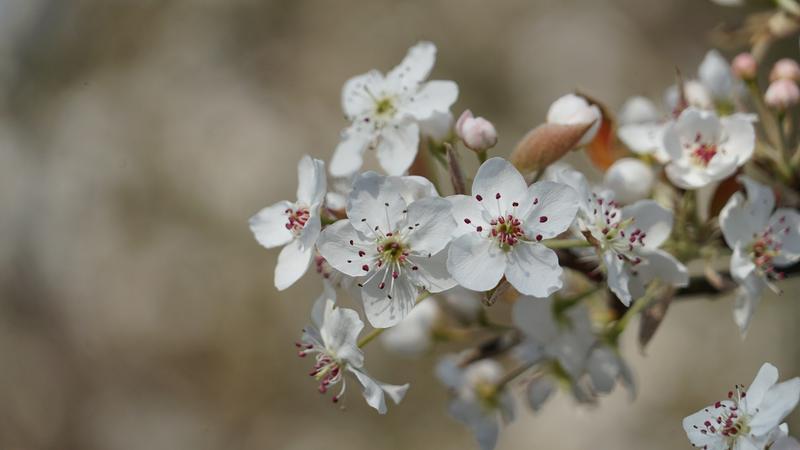 云南省文化和旅游厅