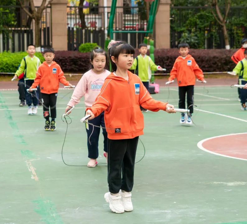 盘龙教育