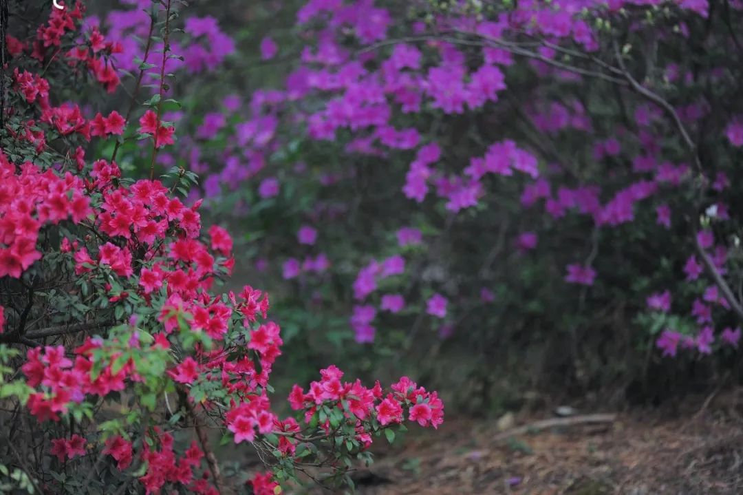 昆明市金殿名胜区