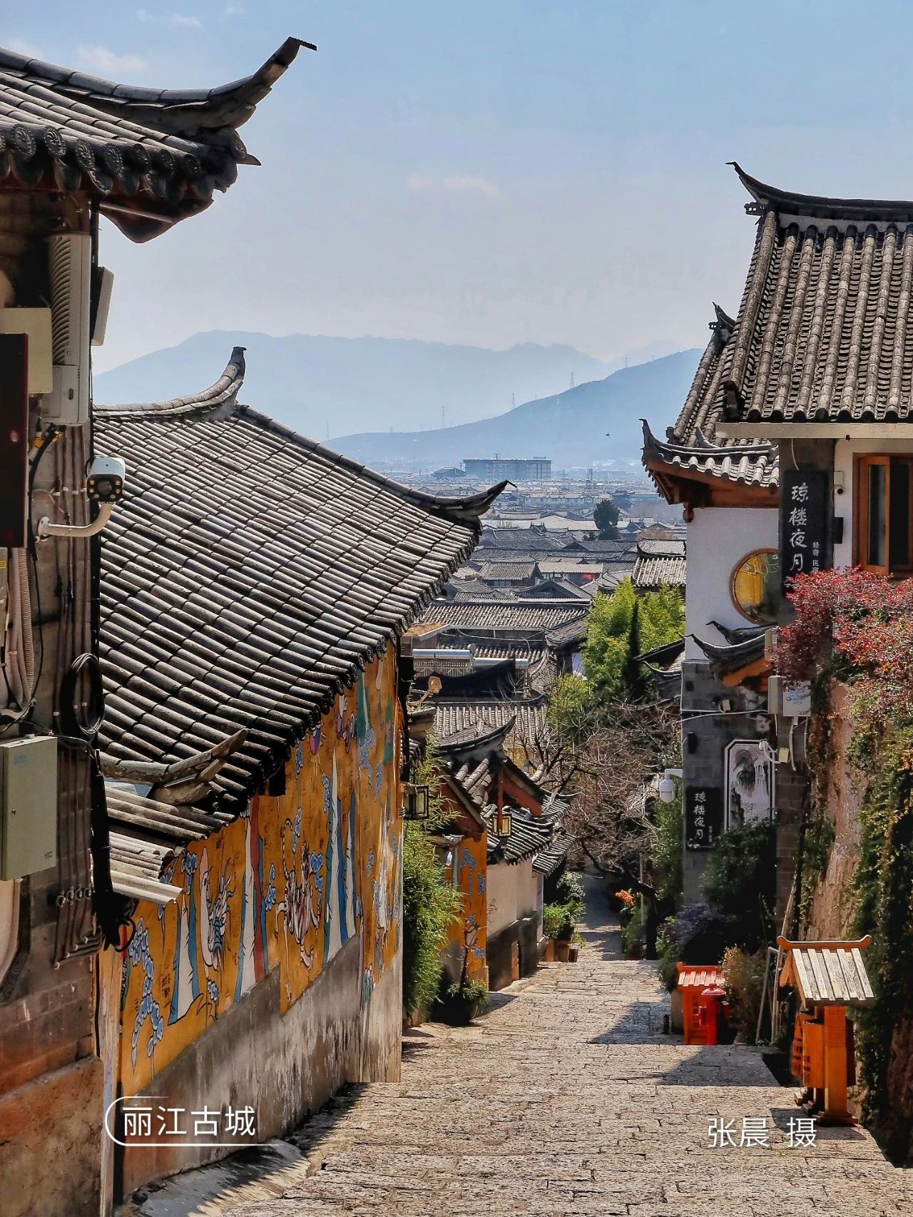 云南省文化和旅游厅