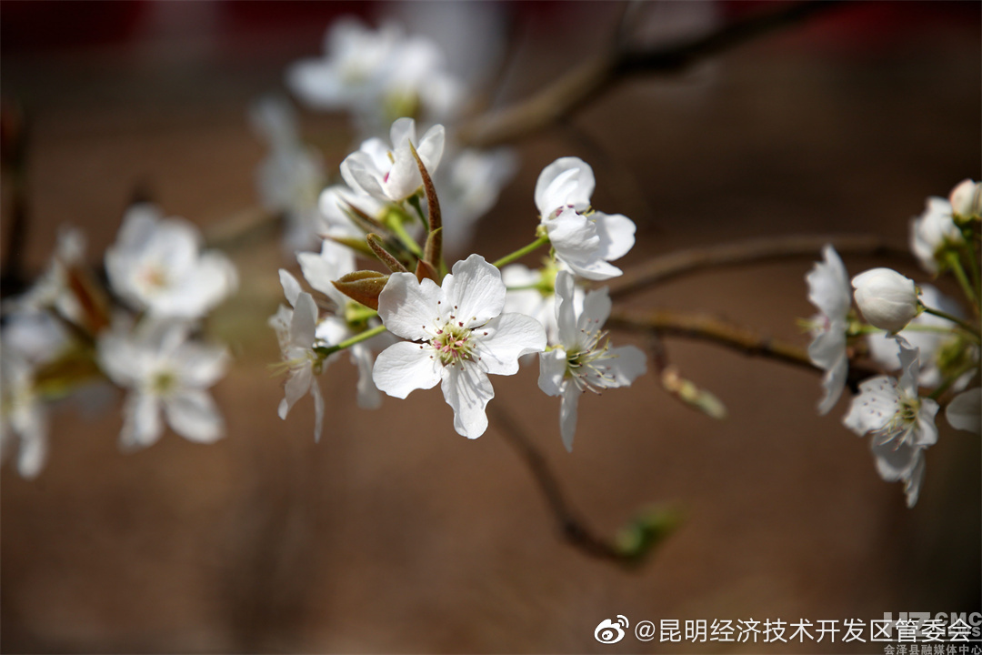 昆明经济技术开发区管委会