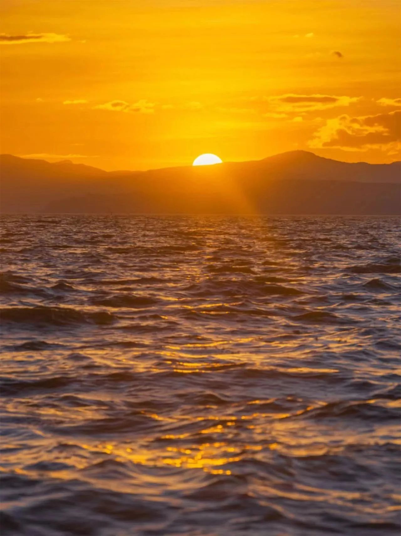 云南省文化和旅游厅