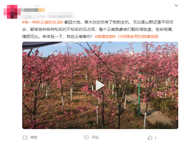 云南省文化和旅游厅