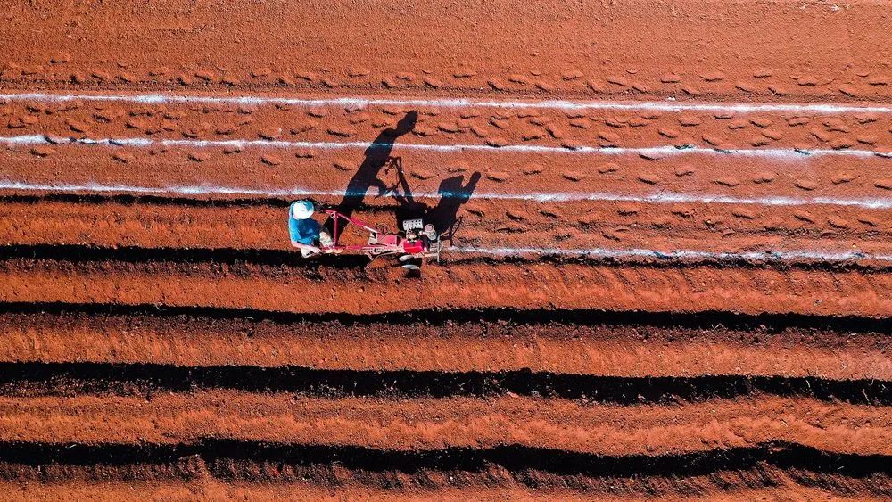 昆明市农业农村局