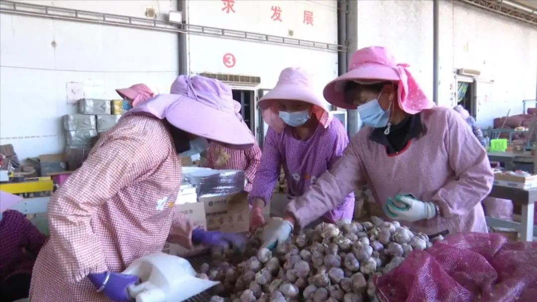 大理电视台