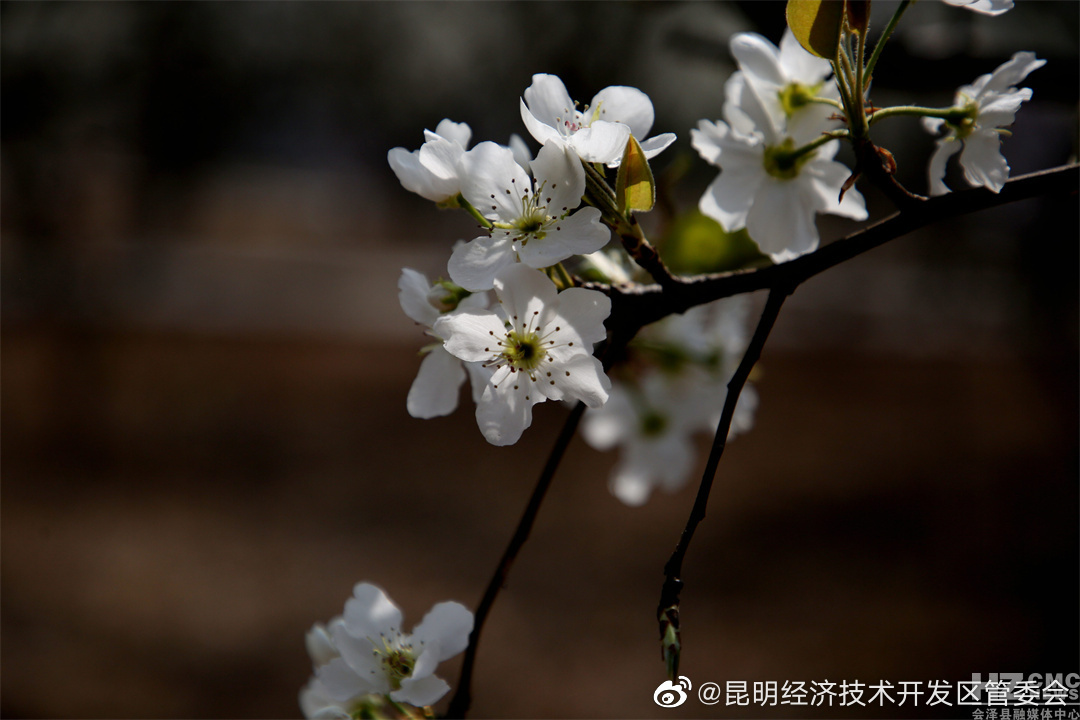 昆明经济技术开发区管委会