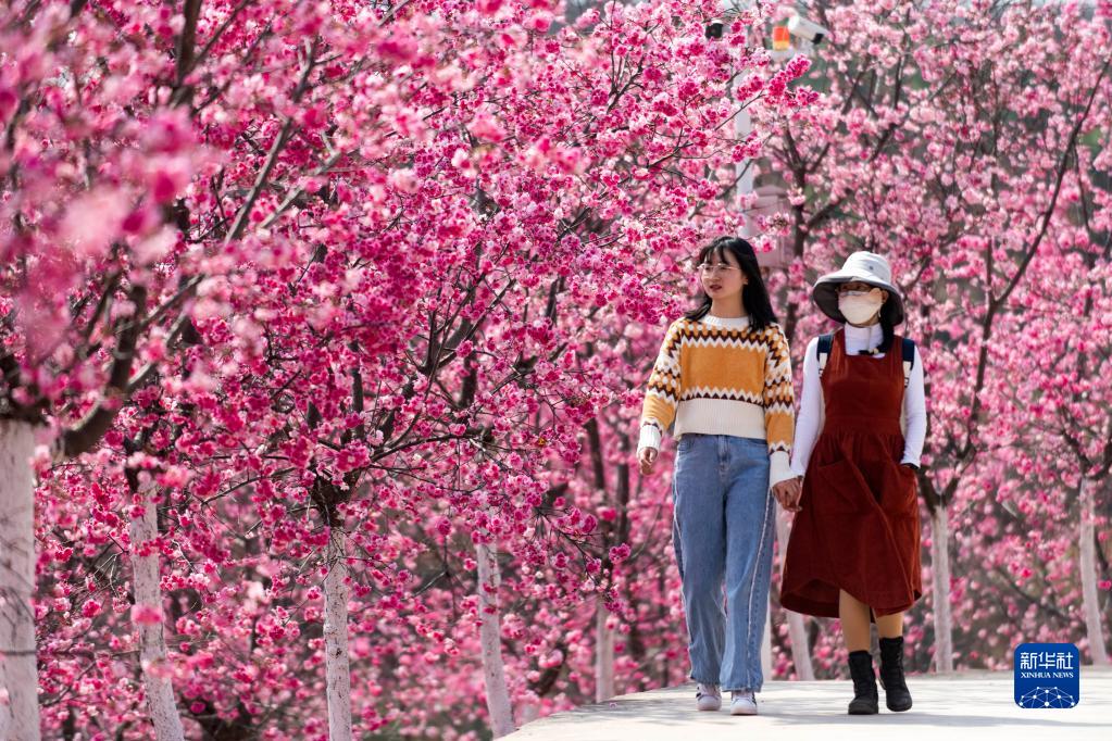 云南省文化和旅游厅