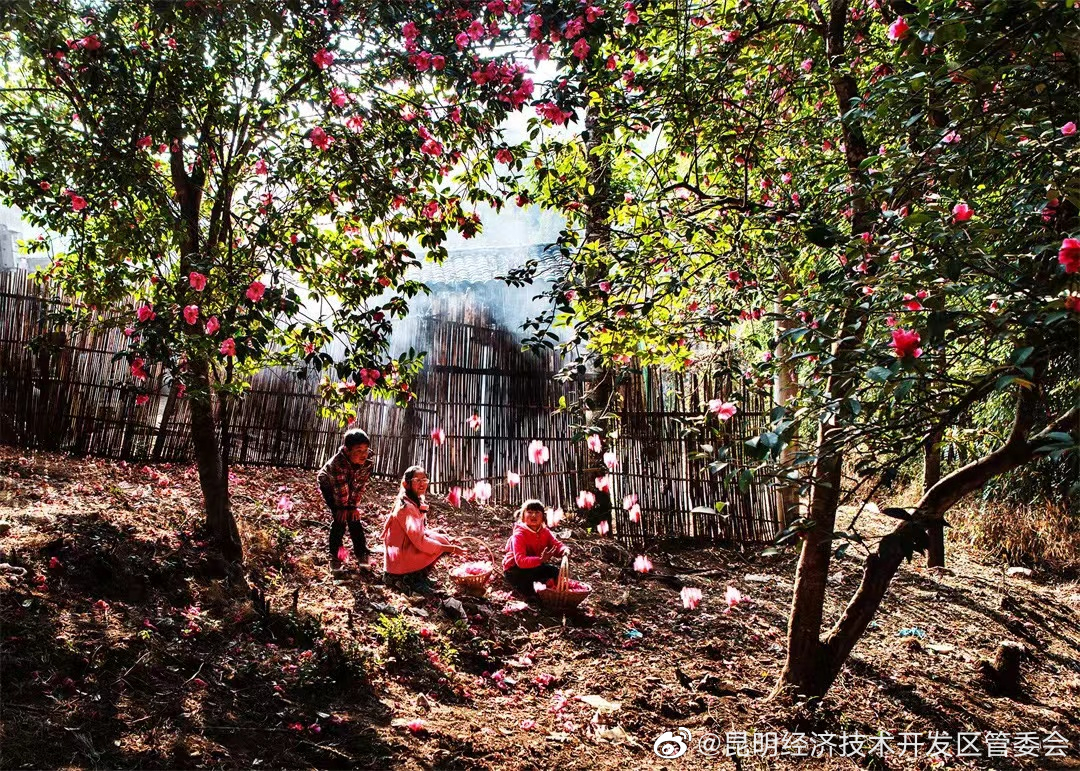 昆明经济技术开发区管委会
