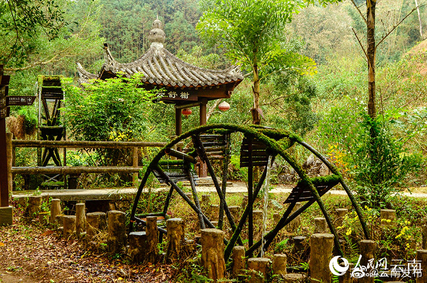 “云南发布”微博