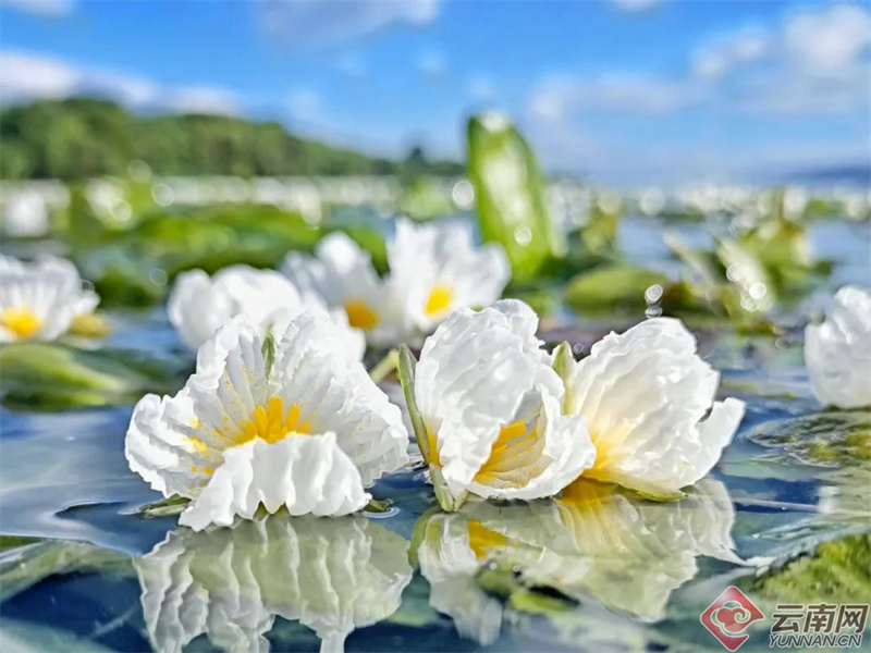 云南省文化和旅游厅