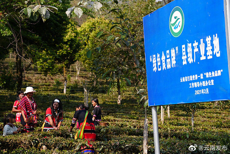 “云南发布”微博