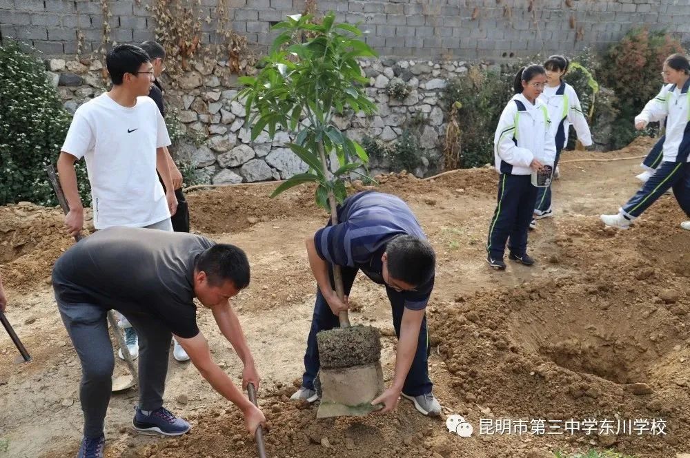 东川教育