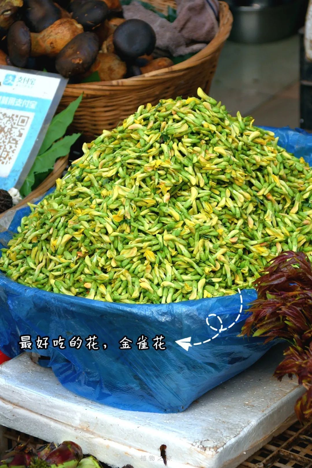 云南省文化和旅游厅