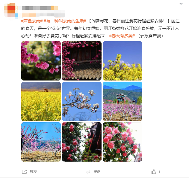 云南省文化和旅游厅