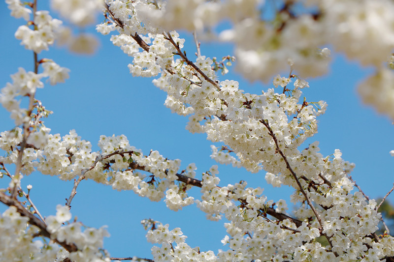 云南省文化和旅游厅