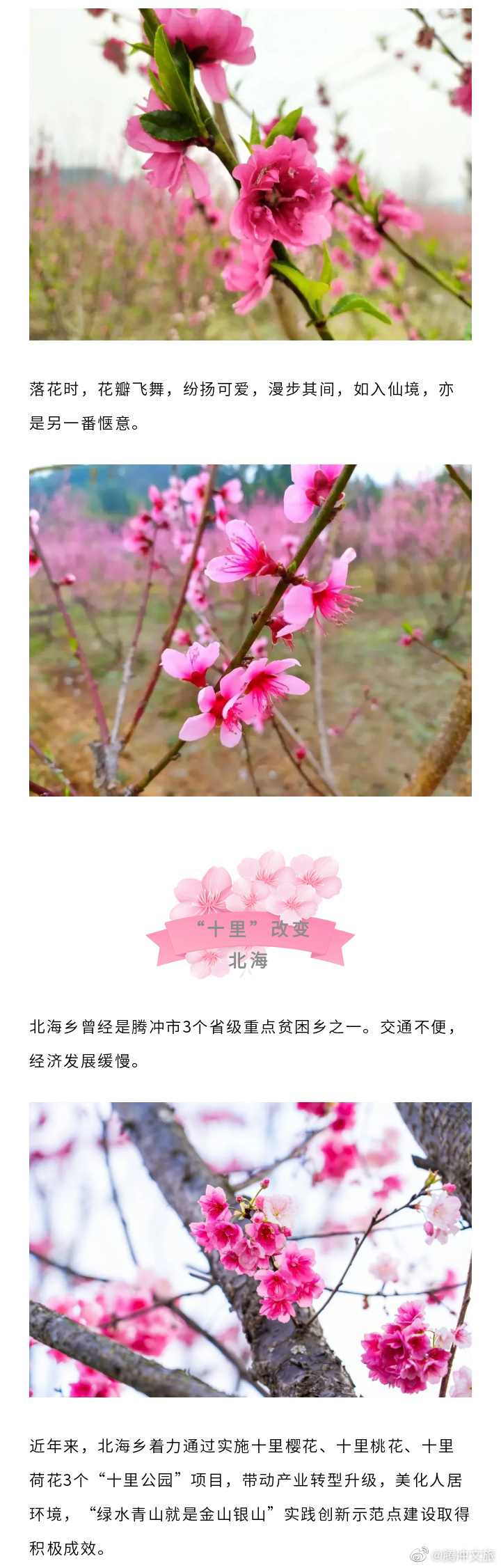 腾冲文旅微博