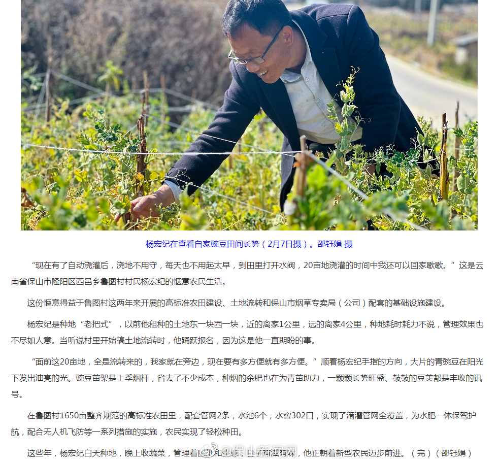 云南保山：种地“老把式”的新型农民路