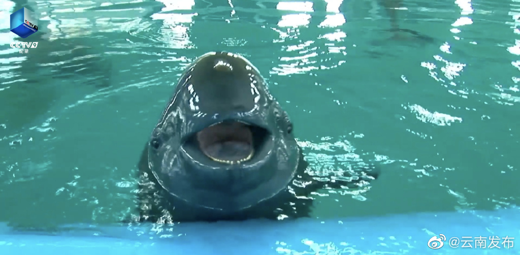 “云南发布”微博