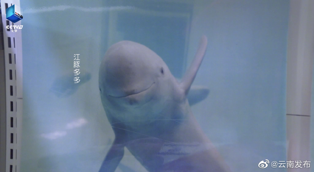 “云南发布”微博