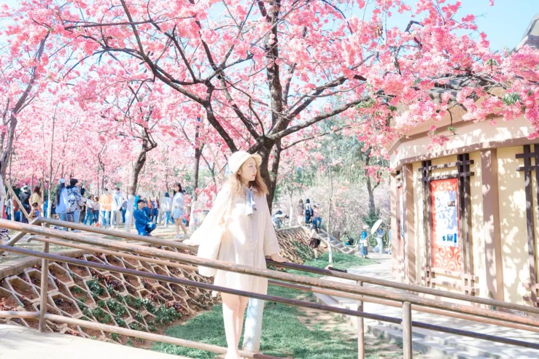 一部手机游云南