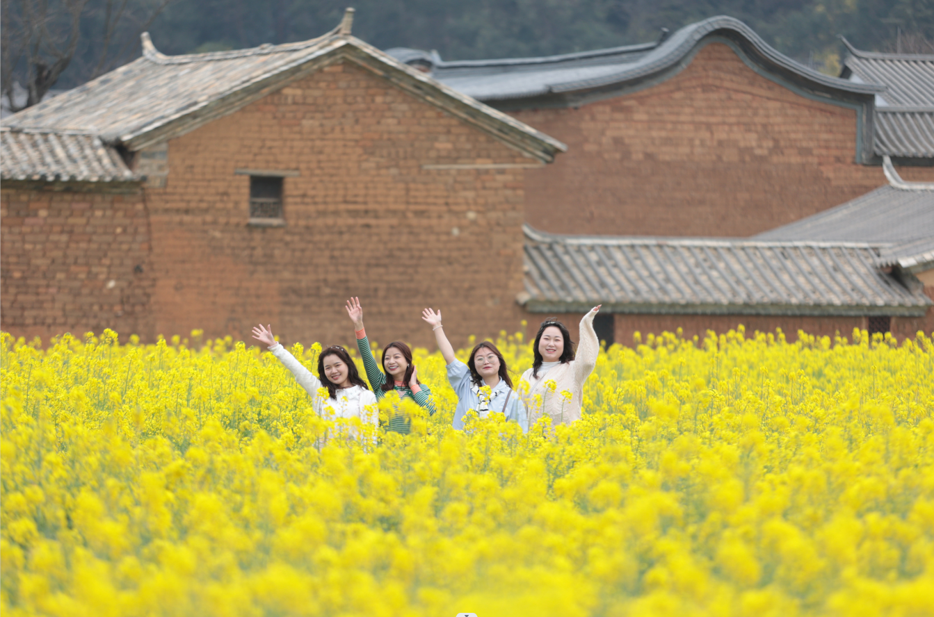 云南省文化和旅游厅