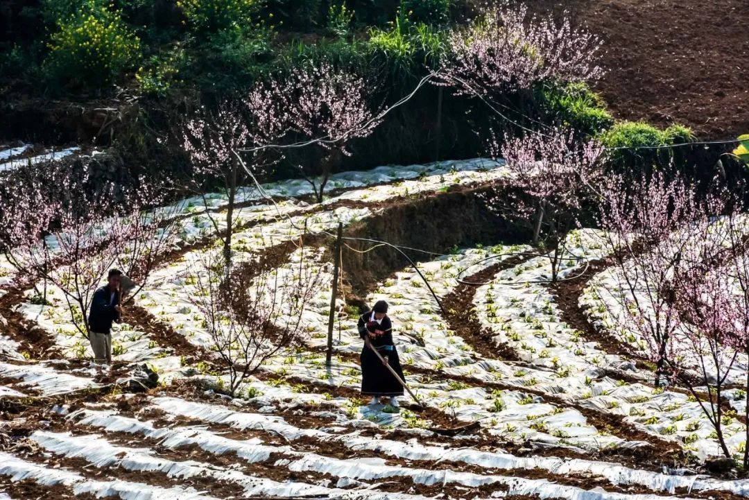 云南省文化和旅游厅