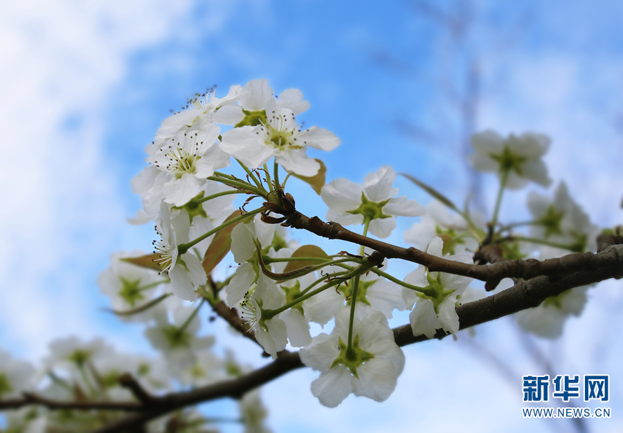 云南省文化和旅游厅