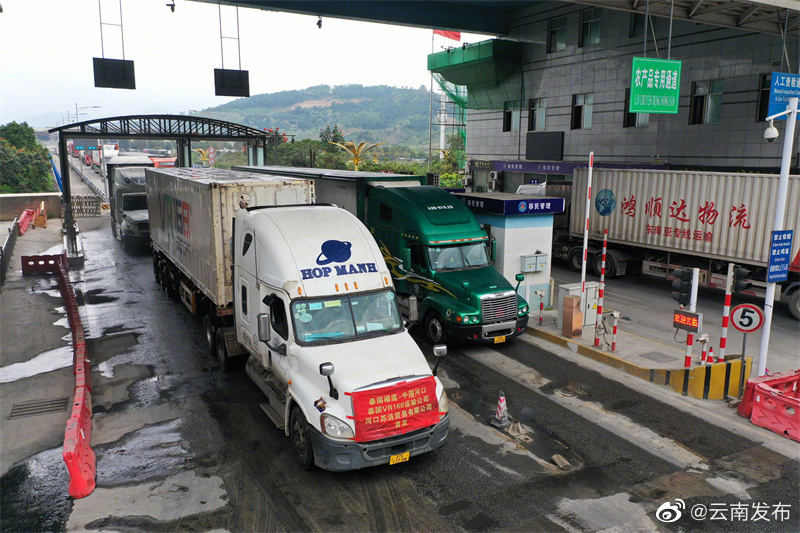 泰国鲜食榴莲首次从云南河口口岸入境