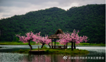 昆明经济技术开发区管委会