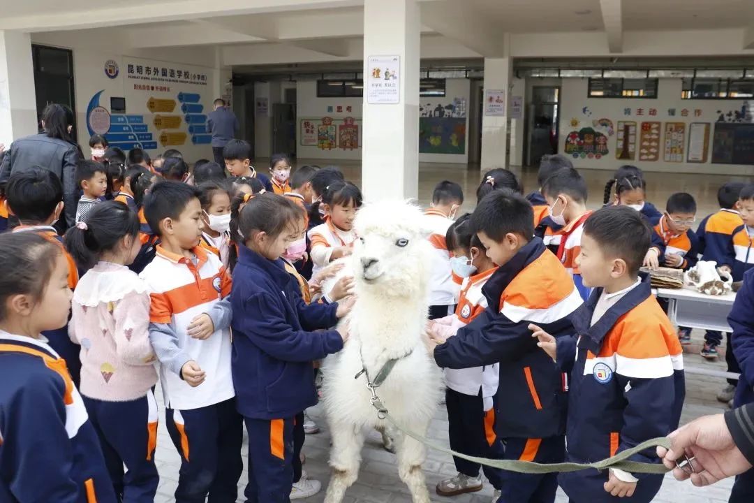 云南野生动物园
