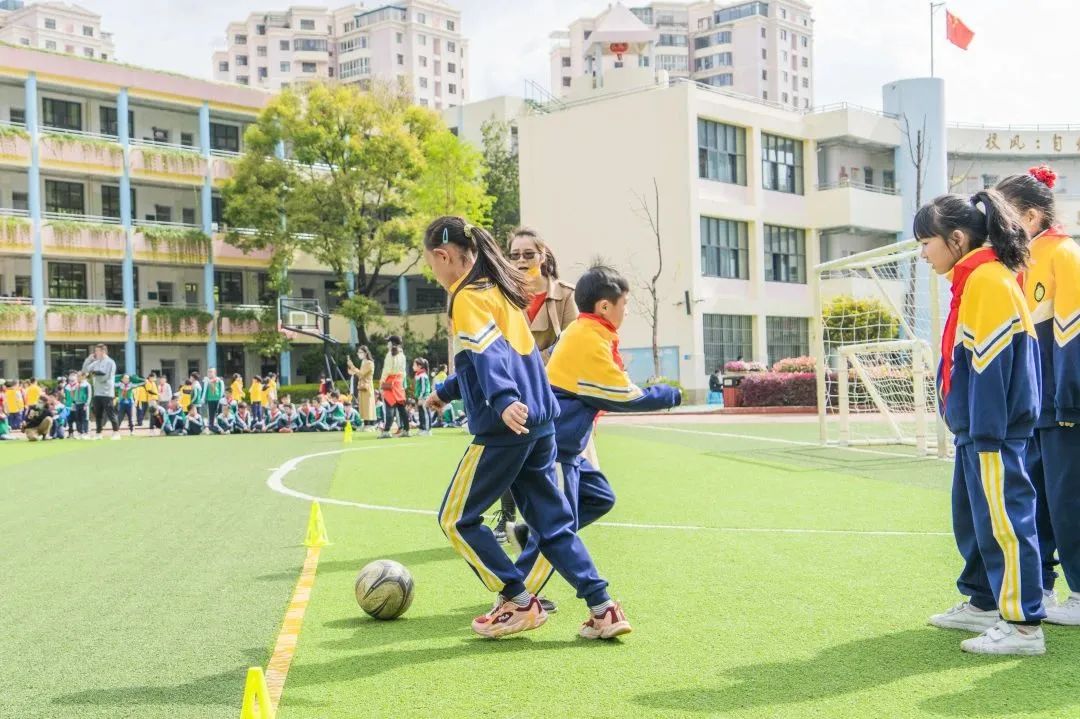 盘龙教育