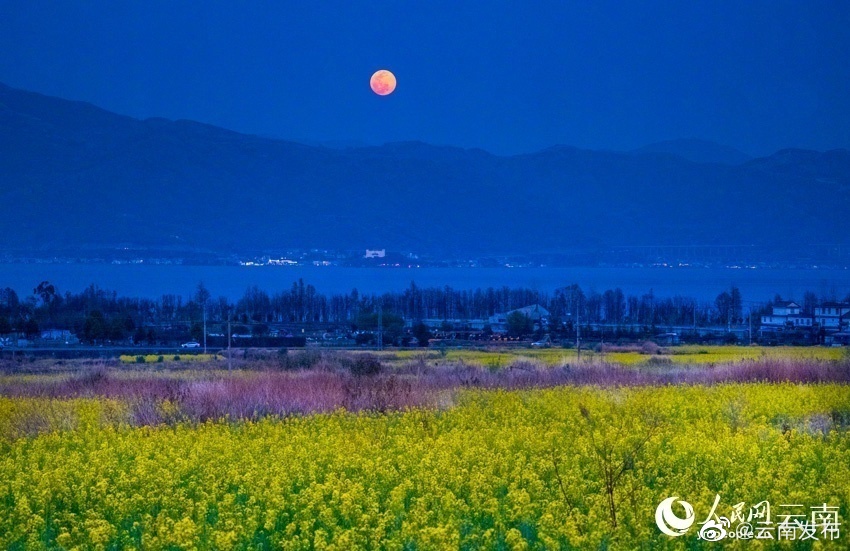 “云南发布”微博