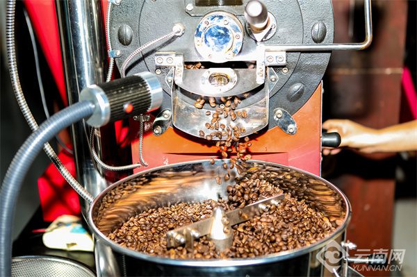 云南省文化和旅游厅