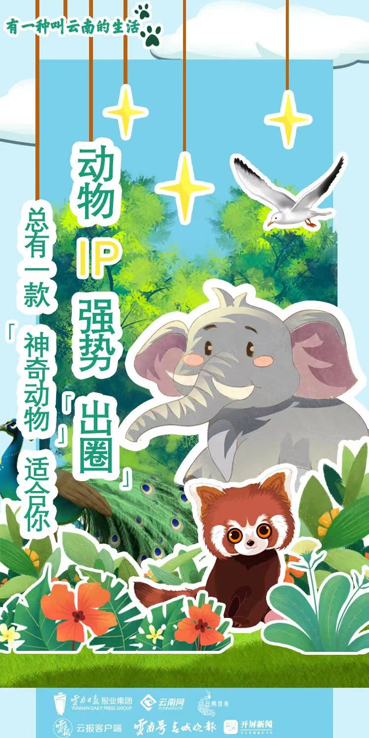 云南省文化和旅游厅