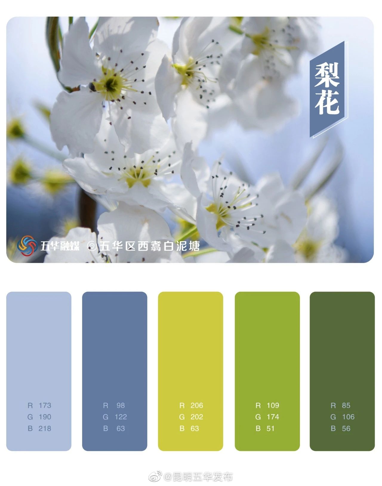 昆明五华发布