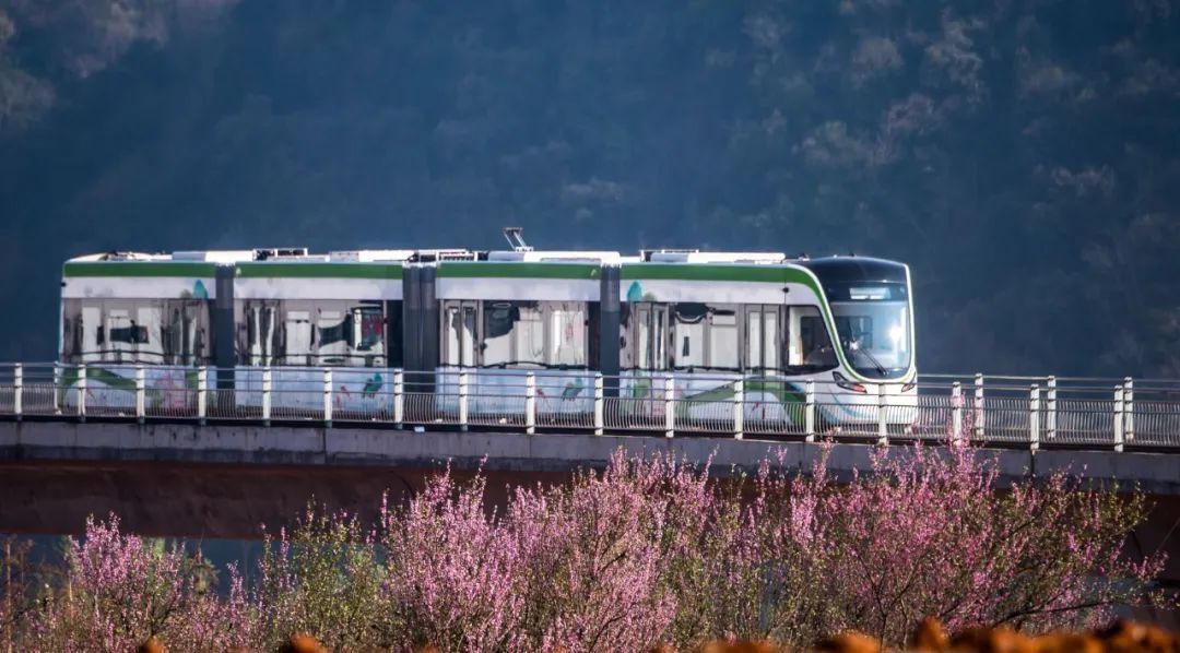 云南省文化和旅游厅