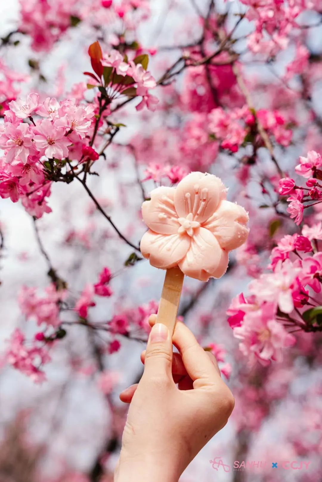 一部手机游云南