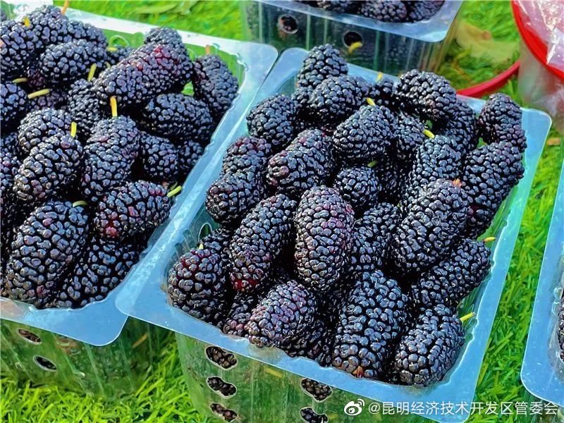 昆明经济技术开发区管委会