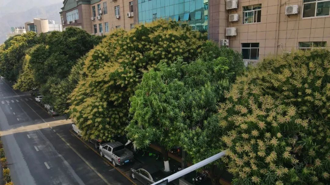 红河日报