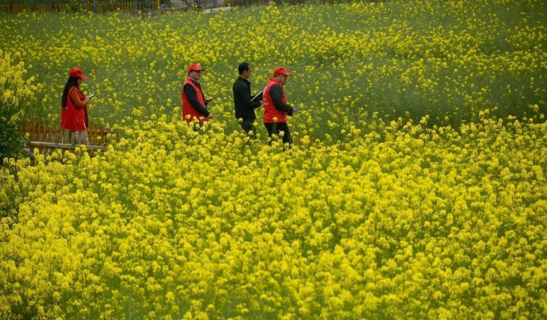 云南省文化和旅游厅