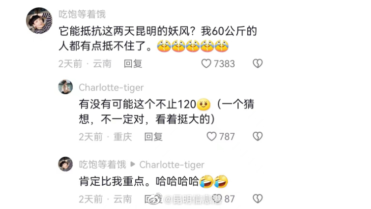 昆明信息港（微博）