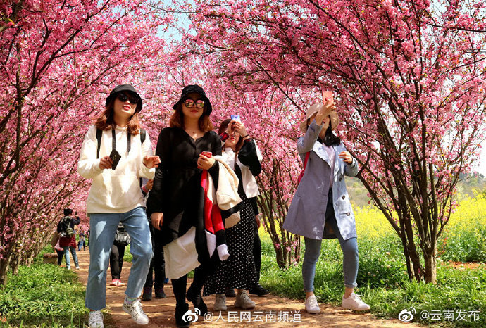 “云南发布”微博