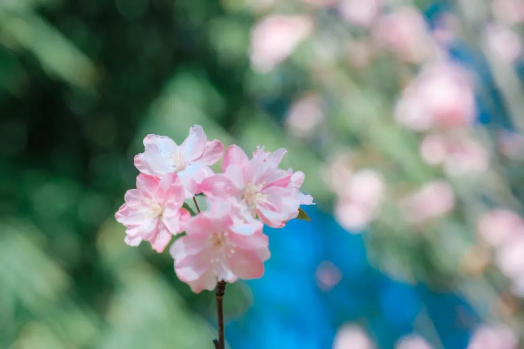 一部手机游云南