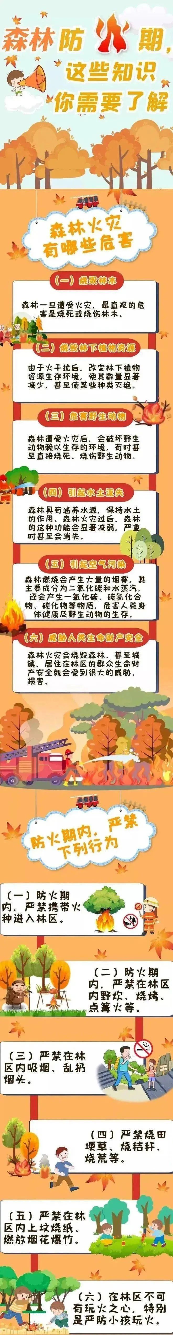 大理电视台